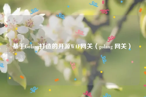 基于Golang打造的开源WAF网关（golang 网关）