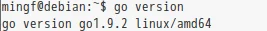 在debian系统安装golang的sdk图文教程