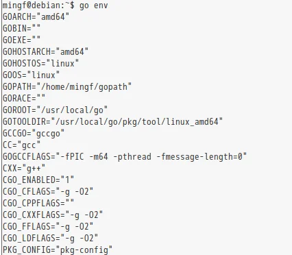 在debian系统安装golang的sdk图文教程