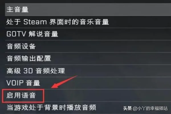 csgo按键说话没反应,CS GO语音按键怎么设置？