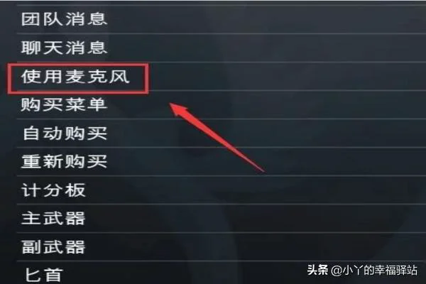 csgo按键说话没反应,CS GO语音按键怎么设置？