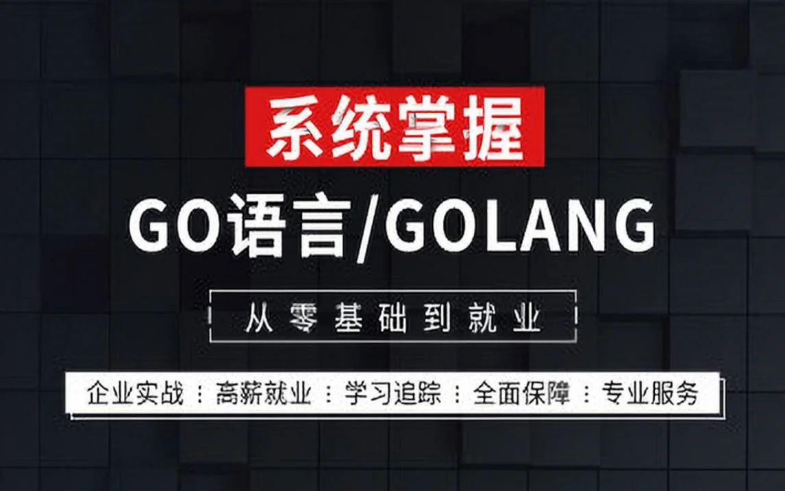Go语言为何被评价为年度最佳语言？清华毕业马士兵联合赵姗姗老师终于把【Golang从零基础入门到精通】全套100集教学讲到通俗易懂