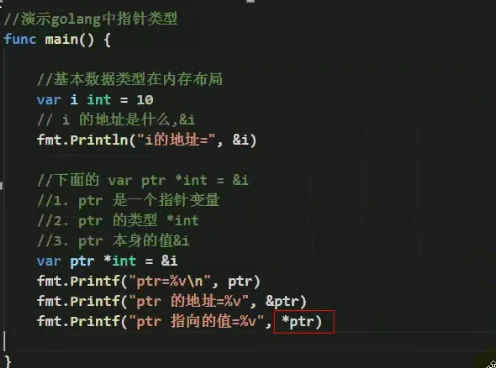 image-20220118210029416