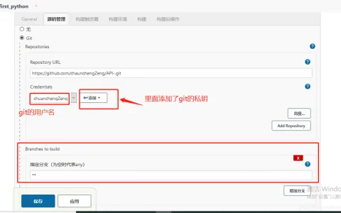 关于docker部署的jenkins跑git上的程序的问题