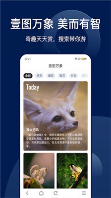 bingo搜索bingo