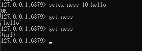 image-20220208162443117