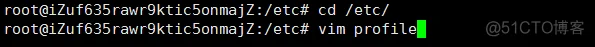 Go&&阿里云服务器（Ubuntu）-- Golang项目（beego）服务器部署_安装包_07