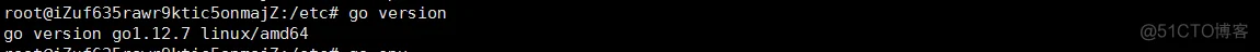 Go&&阿里云服务器（Ubuntu）-- Golang项目（beego）服务器部署_上传_09