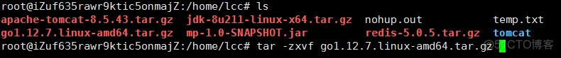 Go&&阿里云服务器（Ubuntu）-- Golang项目（beego）服务器部署_安装包_03