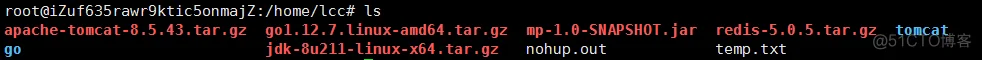 Go&&阿里云服务器（Ubuntu）-- Golang项目（beego）服务器部署_go语言_04