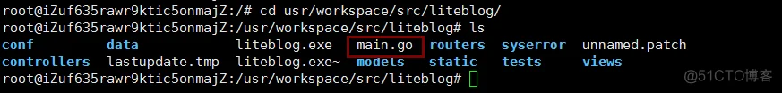 Go&&阿里云服务器（Ubuntu）-- Golang项目（beego）服务器部署_go语言_13
