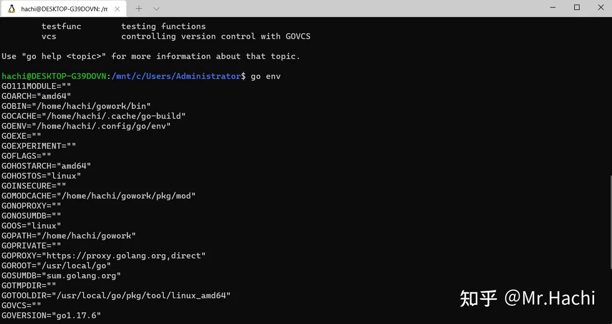 Ubuntu go go golang 