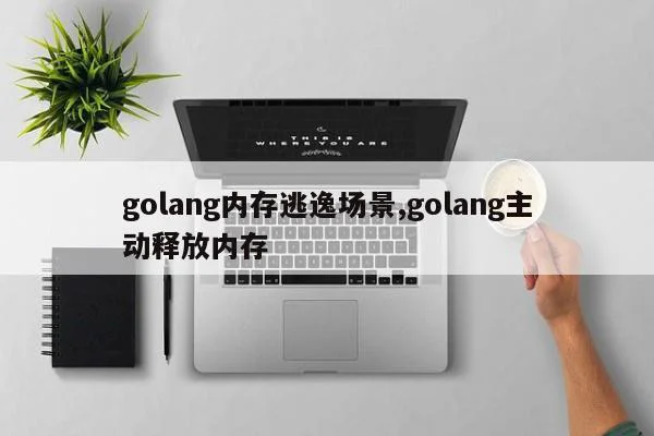 golang内存逃逸场景,golang主动释放内存