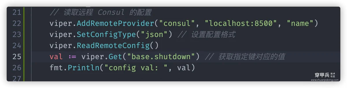 attachmentId-532 Golang Viper 远程配置读取与实时监听的正确操作 第1张