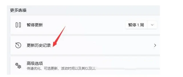 win11打开浏览器黑屏闪屏怎么办