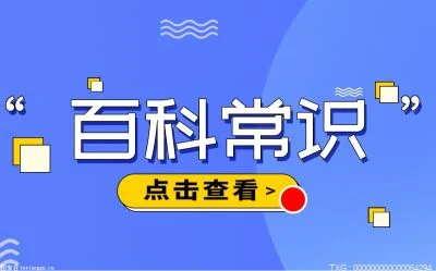 谷歌浏览器mac版下载怎么安装？谷歌浏览器下载文件没反应怎么办？