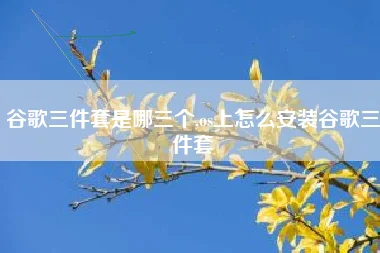 谷歌三件套是哪三个,os上怎么安装谷歌三件套