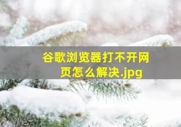 谷歌浏览器打不开网页怎么解决