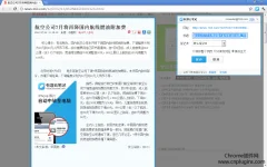 Chrome商店里面排名前十的中文插件,中文Chrome插件前十名