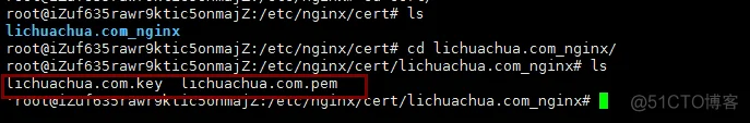 阿里云服务器（Ubuntu）-- 使用nginx添加网站的ssl证书（Golang）_上传_09