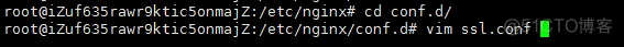 阿里云服务器（Ubuntu）-- 使用nginx添加网站的ssl证书（Golang）_nginx_10