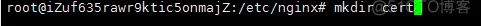 阿里云服务器（Ubuntu）-- 使用nginx添加网站的ssl证书（Golang）_nginx_08