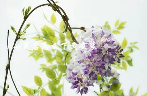 googleplay商店怎么下载安装?注册谷歌play商店账号教程