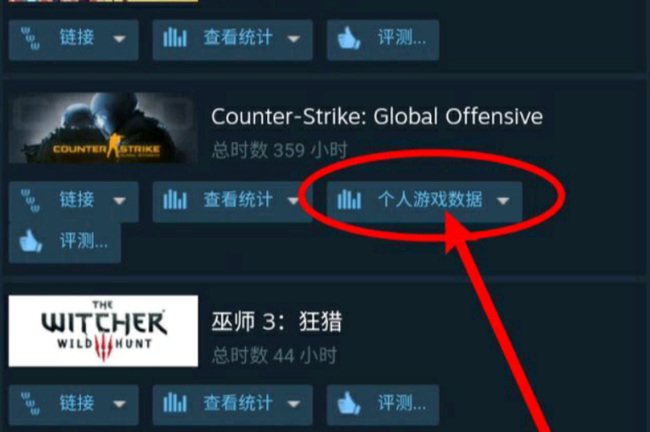 csgo怎么在手机上看自己的战绩 csgo在手机上看自己的战绩方法